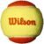 WILSON US Open Youth Tennis Balls – 3 Balls