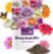 Zinnia Seeds Mix, 1 Oz, Over 3,000 Flowers Seeds, 5 Varieties (Pink, Yellow, Orange, White, Purple), Mixed Colors and Large Blooms,Open Pollinated – Bulk